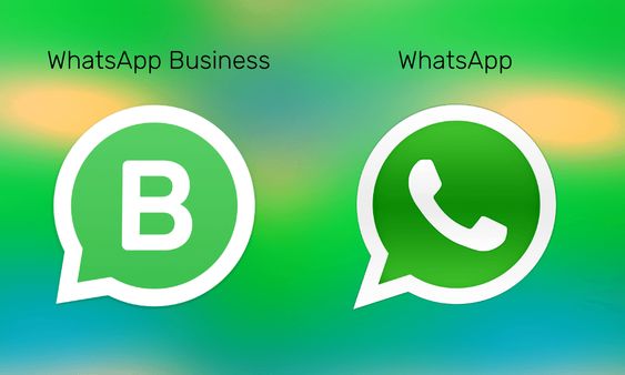 6 rules of whatsapp business